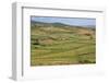 Apollonia, or Apoloni, Fier Region, Albania. Typical countryside viewed from the ruins of Apollo...-null-Framed Photographic Print