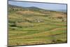 Apollonia, or Apoloni, Fier Region, Albania. Typical countryside viewed from the ruins of Apollo...-null-Mounted Photographic Print