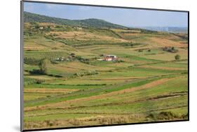 Apollonia, or Apoloni, Fier Region, Albania. Typical countryside viewed from the ruins of Apollo...-null-Mounted Photographic Print