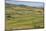 Apollonia, or Apoloni, Fier Region, Albania. Typical countryside viewed from the ruins of Apollo...-null-Mounted Photographic Print