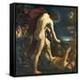 Apollos and Marsyas-il Guercino-Framed Stretched Canvas