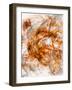 Apophysis-Jean-François Dupuis-Framed Art Print