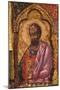 Apostle from Church of Saint Mary Vllaherna-Nicholas (Nikolla) Onufri-Mounted Art Print