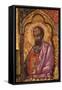 Apostle from Church of Saint Mary Vllaherna-Nicholas (Nikolla) Onufri-Framed Stretched Canvas