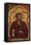 Apostle from Church of Saint Mary Vllaherna-Nicholas (Nikolla) Onufri-Framed Stretched Canvas