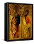Apostles Saint James and Saint Bartholomew, Ca 1345-Paolo Veneziano-Framed Stretched Canvas