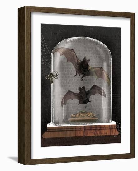 Apothecary Noir IV Black-Sue Schlabach-Framed Art Print