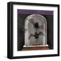 Apothecary Noir IV-Sue Schlabach-Framed Art Print