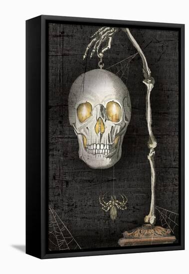 Apothecary Noir VII No Words-Sue Schlabach-Framed Stretched Canvas