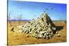 Apotheosis of the War, 1871-Vasily Vereshchagin-Stretched Canvas