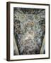 Apotheosis-Pietro da Cortona-Framed Giclee Print