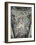 Apotheosis-Pietro da Cortona-Framed Giclee Print