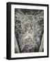 Apotheosis-Pietro da Cortona-Framed Giclee Print