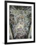 Apotheosis-Pietro da Cortona-Framed Giclee Print