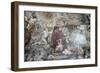 Apotheosis-Pietro da Cortona-Framed Giclee Print