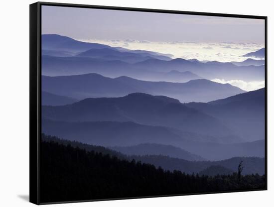 Appalachian Mountains at Dawn, Great Smoky Mountains National Park, Tennessee, USA-Adam Jones-Framed Stretched Canvas