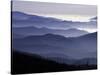 Appalachian Mountains at Dawn, Great Smoky Mountains National Park, Tennessee, USA-Adam Jones-Stretched Canvas