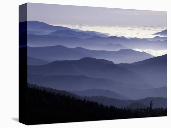 Appalachian Mountains at Dawn, Great Smoky Mountains National Park, Tennessee, USA-Adam Jones-Stretched Canvas