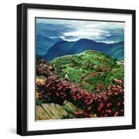 "Appalachian Rhododendrons," May 27, 1961-John Clymer-Framed Giclee Print