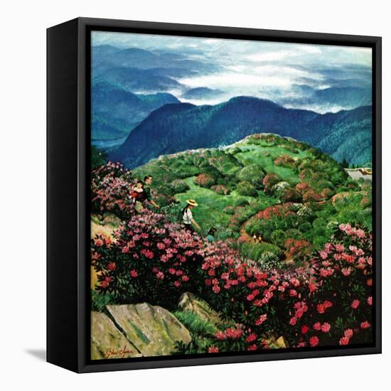 "Appalachian Rhododendrons," May 27, 1961-John Clymer-Framed Stretched Canvas