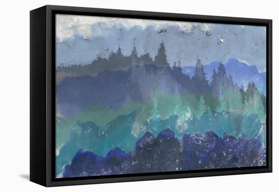 Appalachian Trail II-Alicia Ludwig-Framed Stretched Canvas