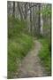 Appalachian Trail, Marked by White Blaze on Trees, Southbound Over Blue Ridge Mountains-null-Mounted Photographic Print
