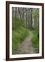 Appalachian Trail, Marked by White Blaze on Trees, Southbound Over Blue Ridge Mountains-null-Framed Photographic Print