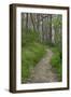 Appalachian Trail, Marked by White Blaze on Trees, Southbound Over Blue Ridge Mountains-null-Framed Photographic Print