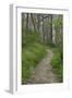 Appalachian Trail, Marked by White Blaze on Trees, Southbound Over Blue Ridge Mountains-null-Framed Photographic Print