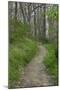 Appalachian Trail, Marked by White Blaze on Trees, Southbound Over Blue Ridge Mountains-null-Mounted Photographic Print