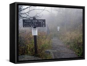 Appalachian Trail near Clingman's Dome, Great Smoky Mountains, Tennessee, USA-Diane Johnson-Framed Stretched Canvas