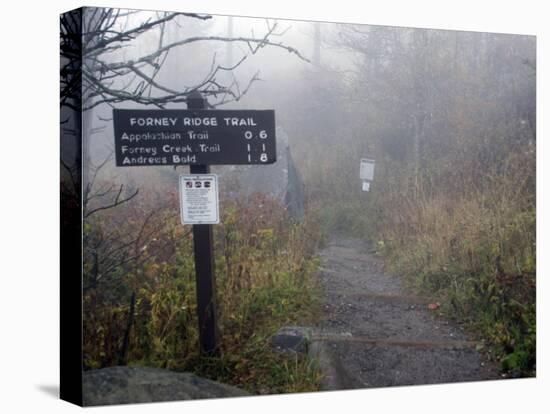 Appalachian Trail near Clingman's Dome, Great Smoky Mountains, Tennessee, USA-Diane Johnson-Stretched Canvas