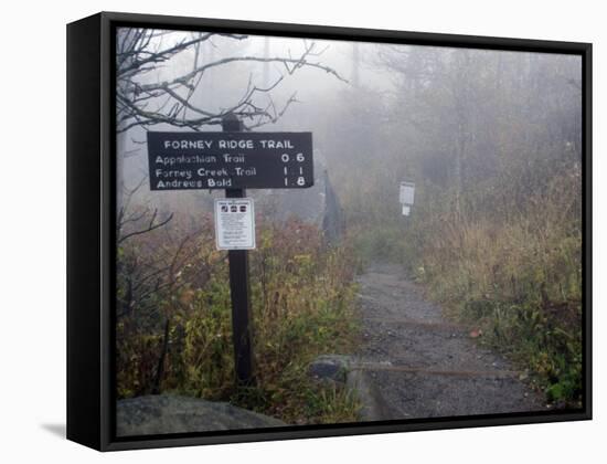 Appalachian Trail near Clingman's Dome, Great Smoky Mountains, Tennessee, USA-Diane Johnson-Framed Stretched Canvas