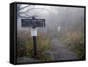 Appalachian Trail near Clingman's Dome, Great Smoky Mountains, Tennessee, USA-Diane Johnson-Framed Stretched Canvas