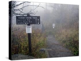 Appalachian Trail near Clingman's Dome, Great Smoky Mountains, Tennessee, USA-Diane Johnson-Stretched Canvas