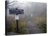 Appalachian Trail near Clingman's Dome, Great Smoky Mountains, Tennessee, USA-Diane Johnson-Stretched Canvas