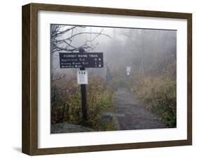 Appalachian Trail near Clingman's Dome, Great Smoky Mountains, Tennessee, USA-Diane Johnson-Framed Photographic Print