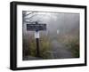 Appalachian Trail near Clingman's Dome, Great Smoky Mountains, Tennessee, USA-Diane Johnson-Framed Photographic Print