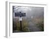 Appalachian Trail near Clingman's Dome, Great Smoky Mountains, Tennessee, USA-Diane Johnson-Framed Photographic Print