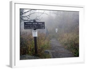 Appalachian Trail near Clingman's Dome, Great Smoky Mountains, Tennessee, USA-Diane Johnson-Framed Photographic Print