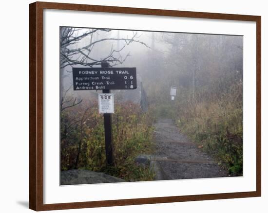 Appalachian Trail near Clingman's Dome, Great Smoky Mountains, Tennessee, USA-Diane Johnson-Framed Photographic Print