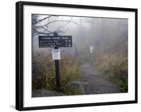 Appalachian Trail near Clingman's Dome, Great Smoky Mountains, Tennessee, USA-Diane Johnson-Framed Photographic Print