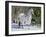 Appaloosa Horse in Snow, Illinois, USA-Lynn M. Stone-Framed Photographic Print