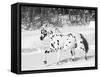 Appaloosa Horse Trotting Through Snow, USA-Lynn M. Stone-Framed Stretched Canvas