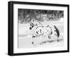 Appaloosa Horse Trotting Through Snow, USA-Lynn M. Stone-Framed Photographic Print