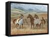 Appaloosa II-Ron Jenkins-Framed Stretched Canvas