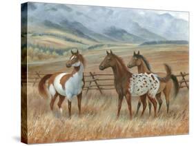 Appaloosa II-Ron Jenkins-Stretched Canvas