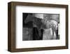 Appaloosa Mirage I-Petro Mikelo-Framed Premium Giclee Print