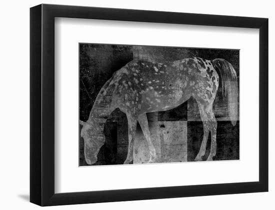 Appaloosa Mirage II-Petro Mikelo-Framed Art Print