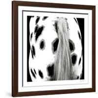 Appaloosa-Ray Hartl-Framed Collectable Print